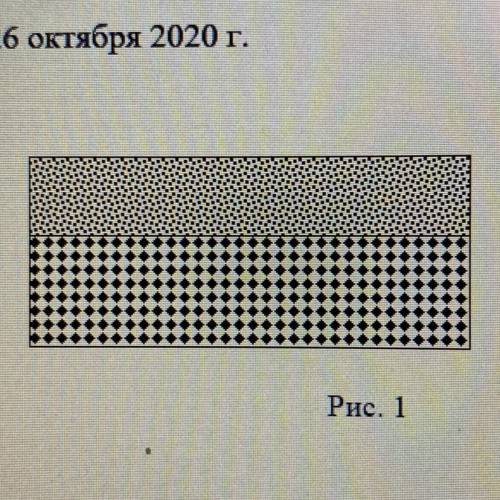 Какой тип коры изображен на картинке?