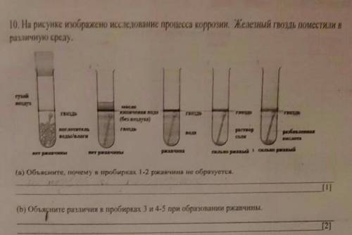 B) Обьясните различия в пробирках 3 и 4-5 при образовании ржавчины ​