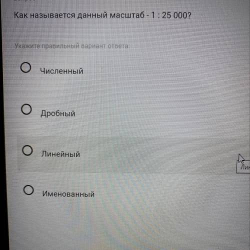 Как называется данный масштаб?