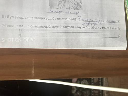 Өсімдікті калай сактап калуға болады? 2 мысал келтіру