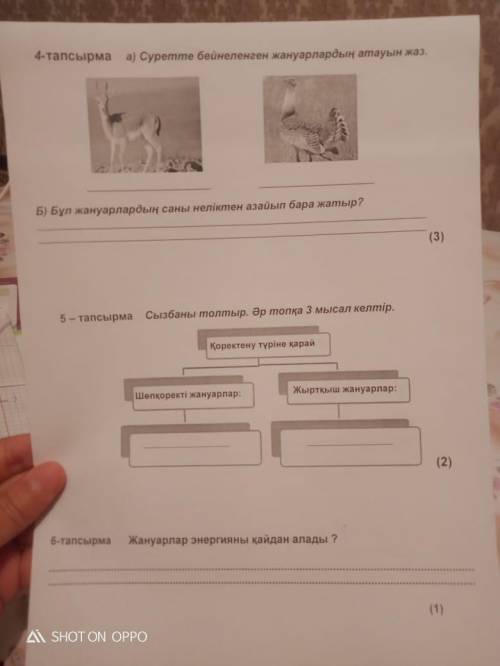 Суретте бейнеленген жануардын атын жаз. Бұл жануардың саны неліктен азайып бара жатыр 6666%ё/32гпвпы