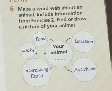 PLAN 6 Make a word web about ananimal. Include informationfrom Exercise 2. Find or drawa picture of