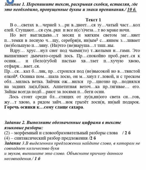 соч по русскому языку должна отправить сегодня ​