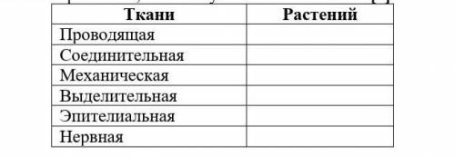 2. Митохондрии присутствуют в клетках эукариот и прокариот. Что произойдет с данными клетками, если