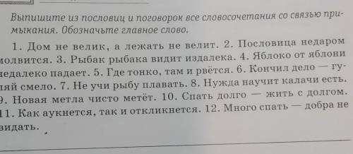 Выпишите из пословиц и поговорок все словосочетания со связью при- мыкания. Обозначьте главное слово