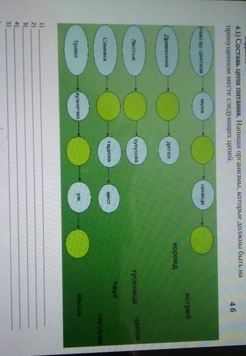 Напиши организмы которые должны быть на пропущенном месте следующих цепей​