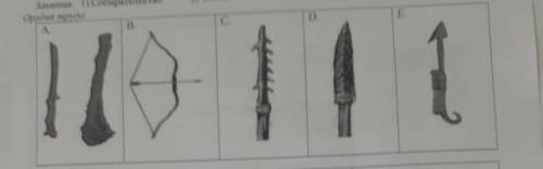 Установите соответствие между занятиями и найденными древними орудиями занятия собирательство охота