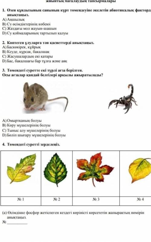 Калай керек болып жатыр еди ​