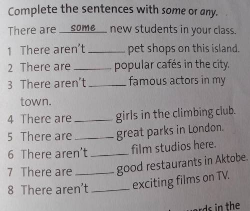 1 Complete the sentences with some or any. somenew students in your class.pet shops on this island.p