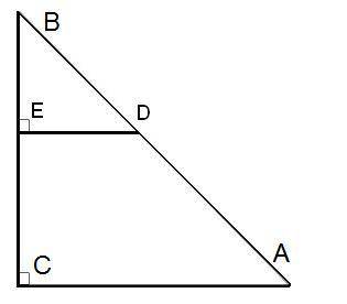 Дано: ΔEBD ∼ ΔCBA, КСМ = 24 см; ED = 5 см, CA = 10 см. Вычислить: EB