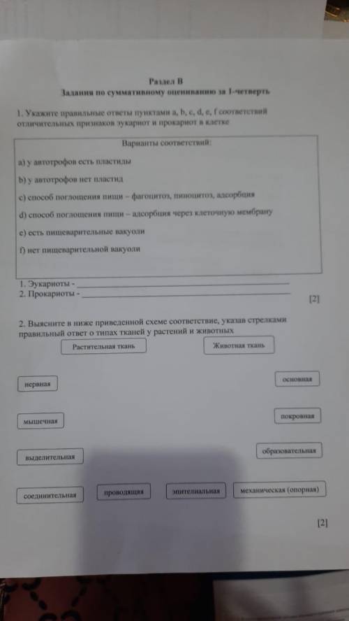 Выясните в нижеприведенной схеме соответствия указав стрелками правильный ответ в типах тканей у рас