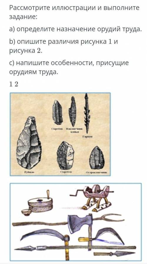 Расмотри иллюстрацию и выполните задания ​