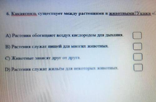 6 Какая связь существует между растениями и животнымиҮСІЯ) A) Растення обогащают воздух кислородом д