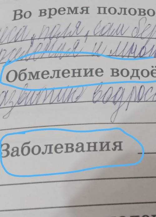 Обмеление водоёмов во время засухи приводит к Заболевания ​