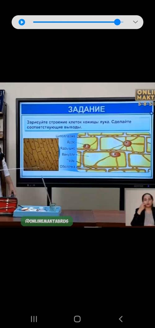 очнь какие выводы написать биология 5 класс