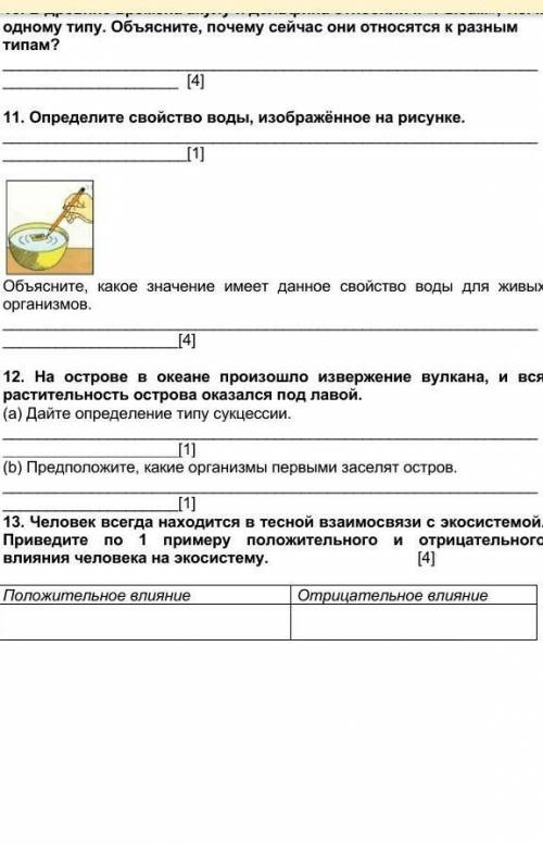 На острове океана произошло извержение вулкана,и вся растительность острава оказалось под лавой​