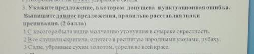 Укажите предложение в котором допущена пунктуационная ошибка Выпишите из данного предложения Правиль