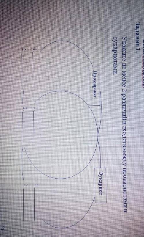 Заданне 1 Укажите не менее 2 различий н сходств между прокарнотами и аукариотами. Эукарнот Прокарнот