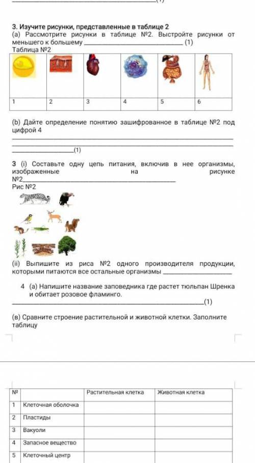 Очень Мне очень нужно добрые люди. дам тол ко ответьте