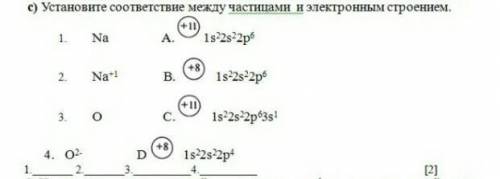 Укажитите сответствие между частицами и электронным строением.​