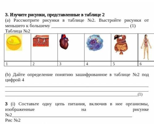 расставить от меньшего к большему​