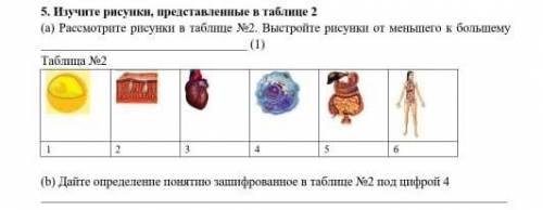 Изучите рисунок представленный в таблице втором а Рассмотрите рисунок в таблице номер два выстройте