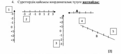 Кайсысы суретте кординаталык сыщык болмайды класс​