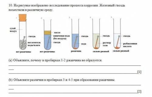 (b) Объясните различия в пробирках 3 и 4-5 при образовании ржавчины