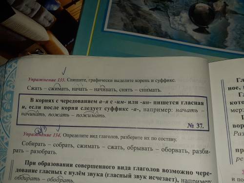 Упражнение 134 определите вид глаголов, разберите их по составу