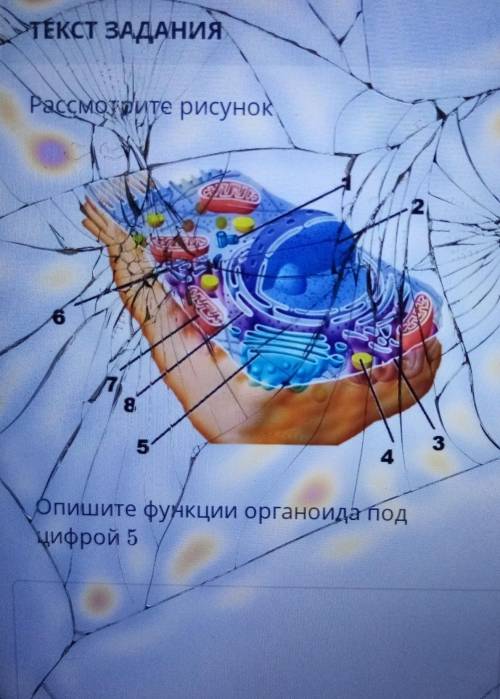 нужно сдать через 10 мин ​