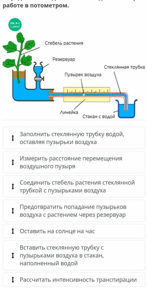 Определи последовательность действий при работе в потометром.​