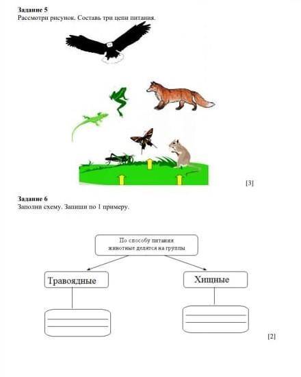 выполнить. задание 5 и 6 ​