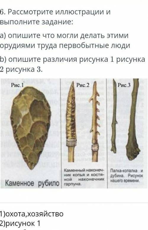 расмотрите илюстраций и выполните задание а опишите что могли делать этими орудиями труда опишите ра