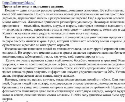 К какому стилю речи относится текст СОЧ.знаю до конца текст не видно.но так получилосьскажите