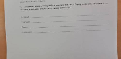 Адамның асқорыту жүйесінде асқазан тоқ ішек бауыр және ашы ішек маңызды қызмет атқарады олардың қызм