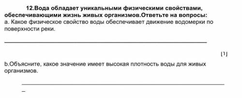 Какое физическое свойство воды обеспечивает движение водомерки по поверхности реки.​