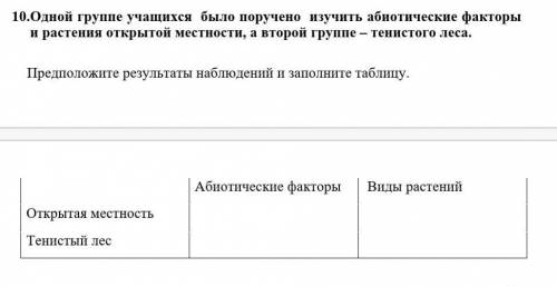 Одной группе учащихся было поручено изучить абиотические факторы и растения открытой местности, а вт