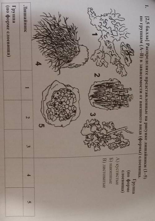 1. Распределите представленные на рисунке лишайники в скобочках 1-5 скобочка закрывается по группам