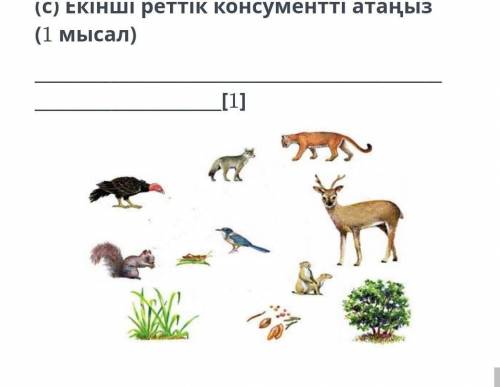 Комек керек керек оте оте​