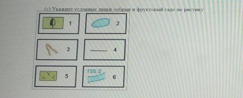 Укажите условные знаки обрыв и фруктовый садпо рисунку​