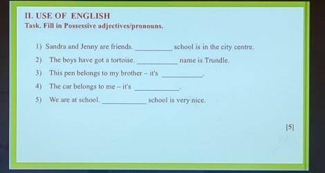 1) Sandra and Jenny are friends. school is in the city centre.2) The boys have got a tortoise.name i