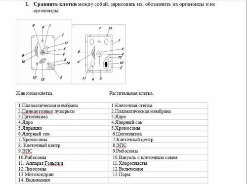 Под какой цифрой что отмечено?