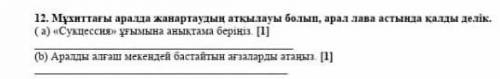 Мухиттагы аралда жанартаудың аткылауы болды арал лава астында калдык дерик​