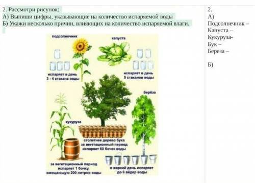Рассмотри рисунок: A) Выпиши цифры, указывающие на количество испаряемой водыБ) Укажи несколько прич