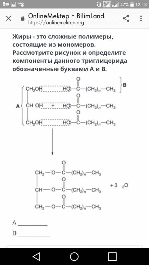 Расмотри рисунок и определи компоненты данного триглецирида обозначенные буквами А и Б