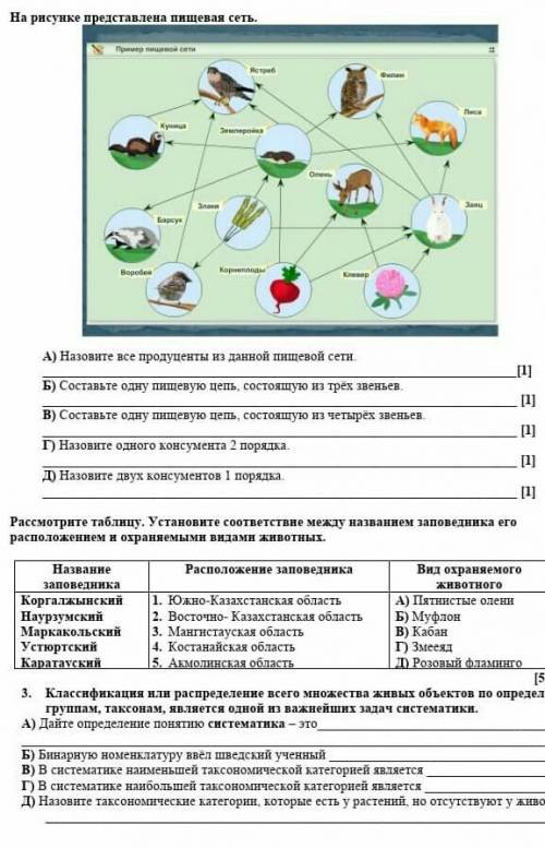 Назовите продуценты пищевых цепей ​