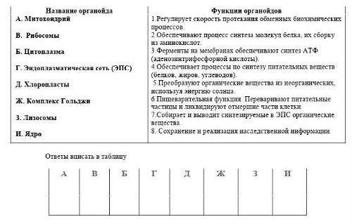 ХРИСТА РАДИ Нужно найти соответствие между оргонойдами и их ними функциями. извинить за качество скр