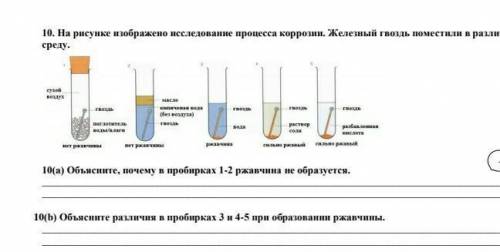 Объясните различия в пробирках 3 и 4-5 при образования ржавчены ​