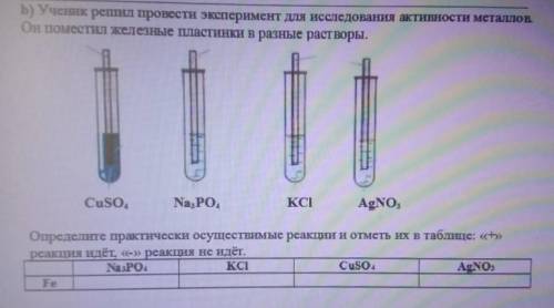 B) Ученик решил провести эксперимент для исследования активности металлов Он поместил железные пласт