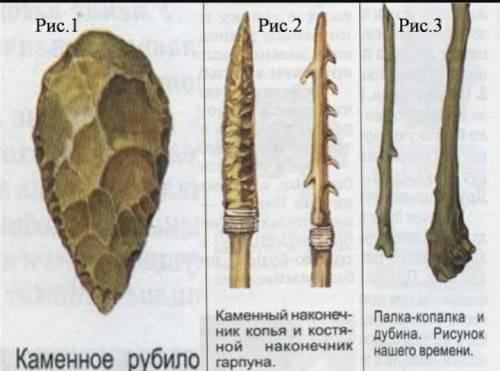 А) Опишите что могли делать этими первобытные люди б)опишите различия рисунка 1 рисунка 2 рисунка 3​